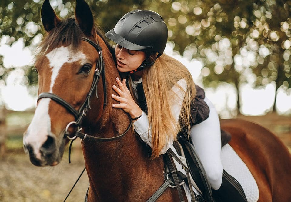 Craftsmanship in the Saddle