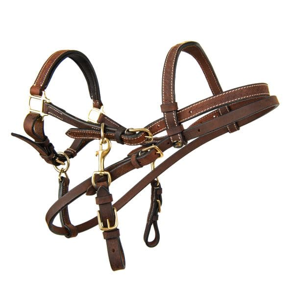 brown leather horse bridles